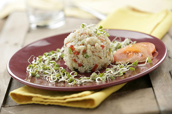 plato quinoa