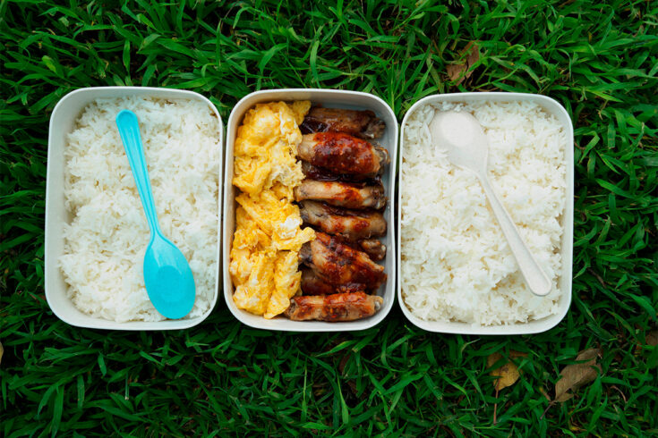 Comidas para picnic