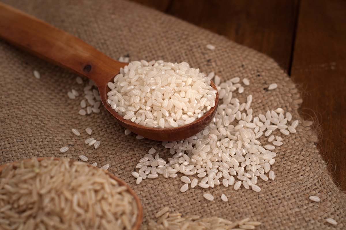 el arroz es hidrato de carbono