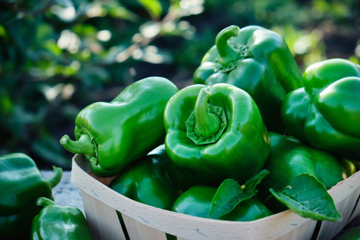 propiedades del pimiento verde