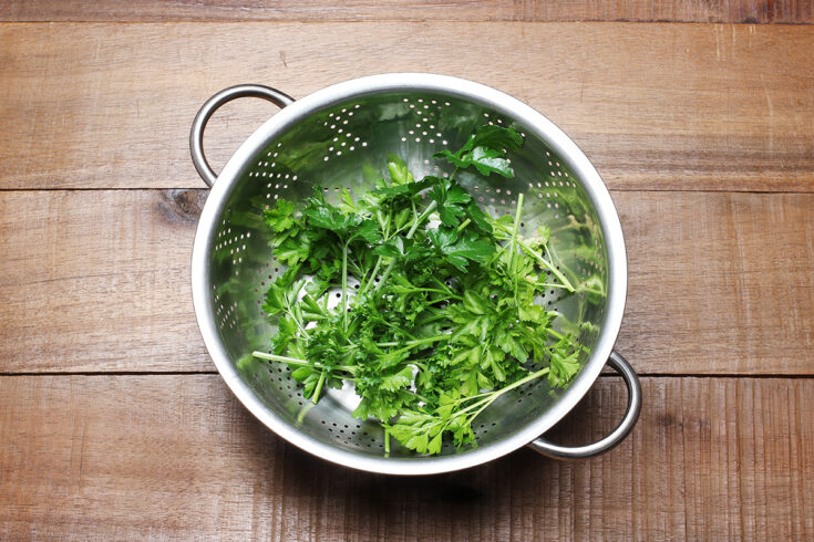 cilantro vs perejil