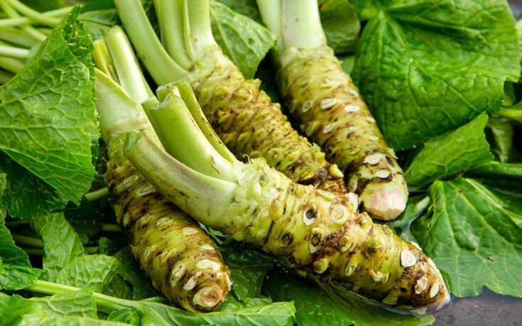 Qué es el wasabi