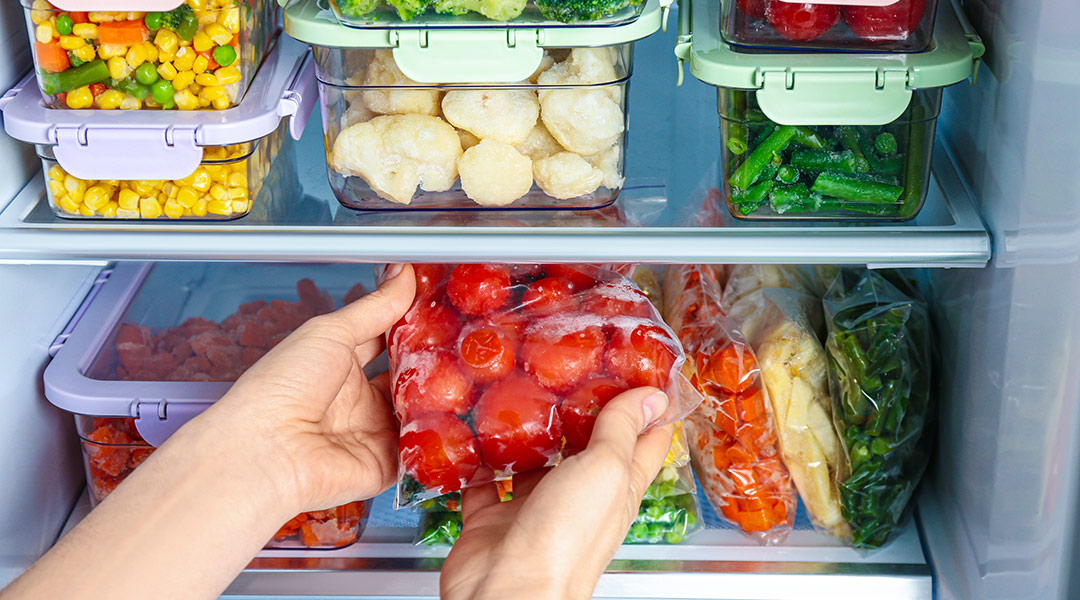 ¿Cómo Conservar Las Verduras Frescas?