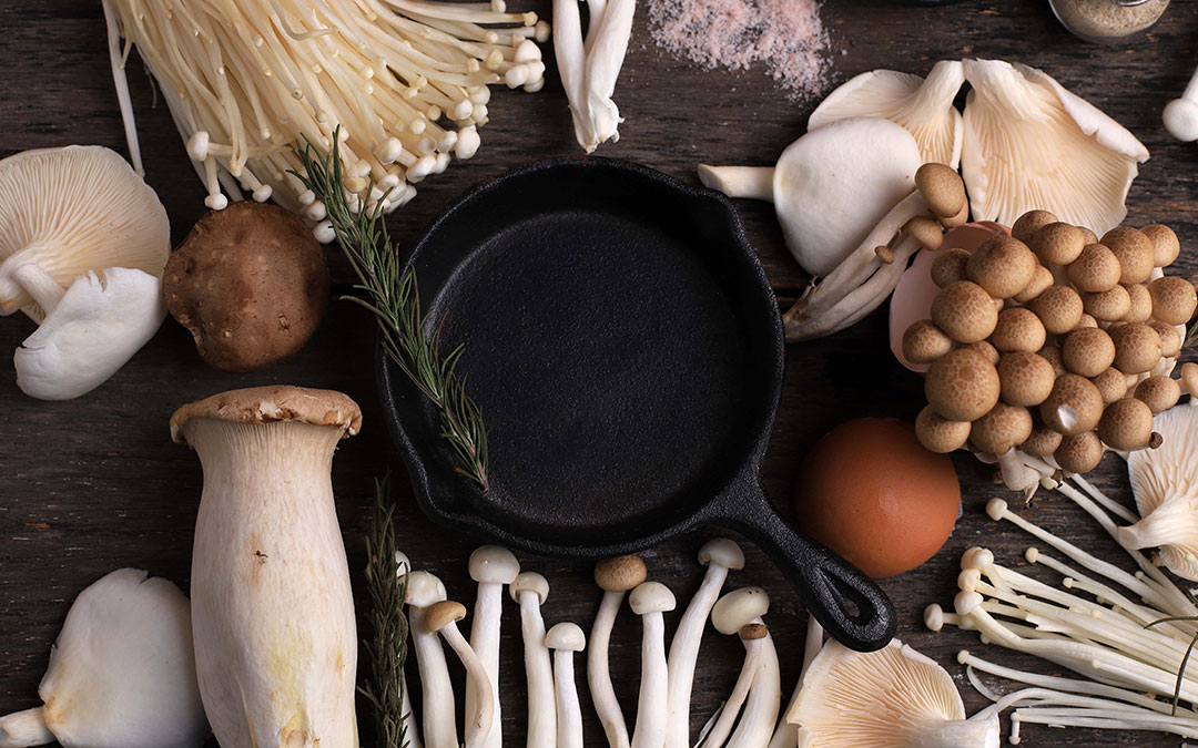 Las Mejores Recetas Con Setas Para Todos Los Gustos